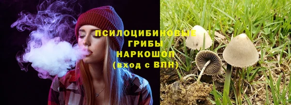 марки lsd Бородино