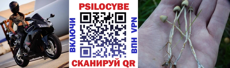 Галлюциногенные грибы GOLDEN TEACHER  Купить где  Донецк 